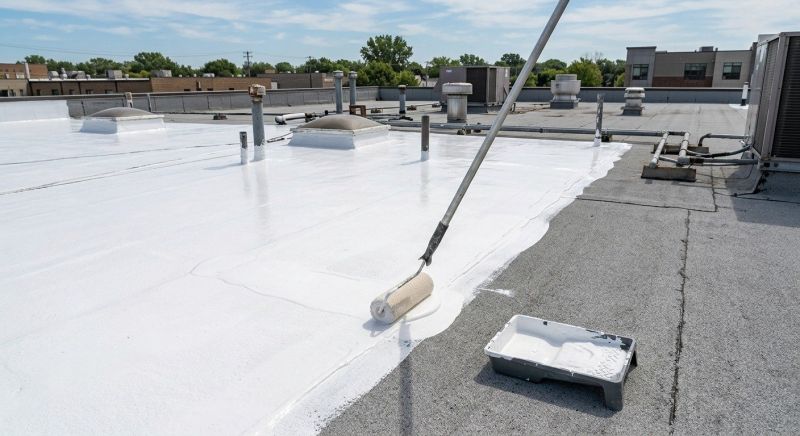 Roof Coating In Magic Valley
