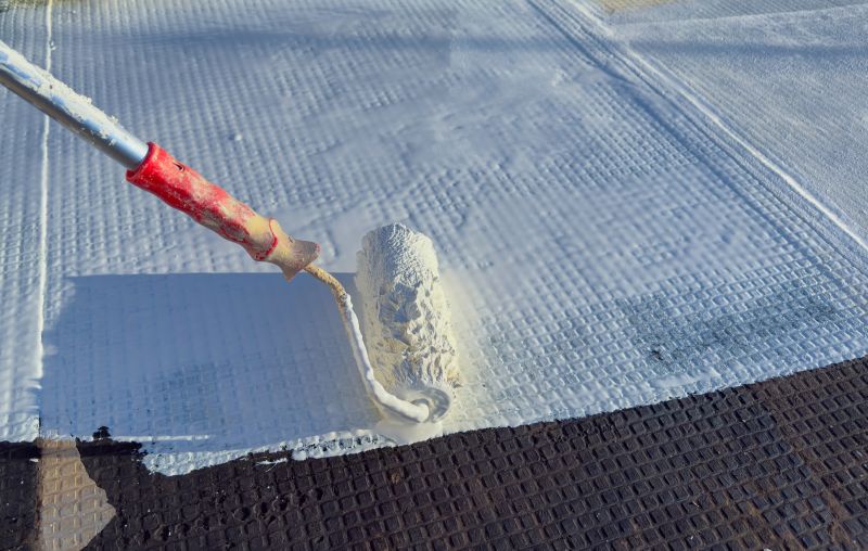 Roof Coating