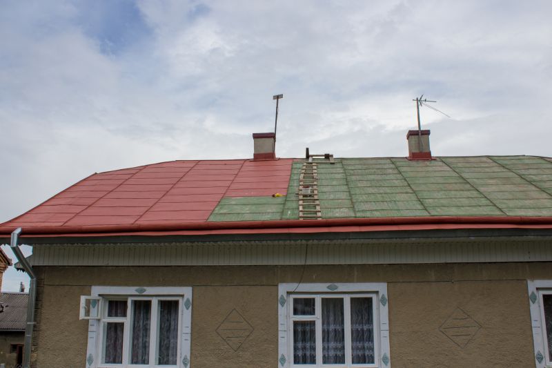 Roof Painting