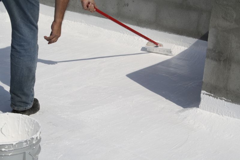 Roof Painting