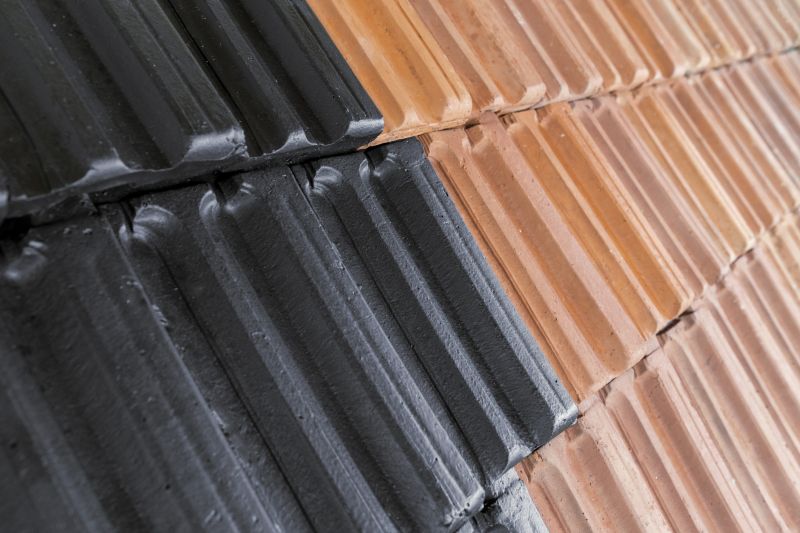 Roof Painting