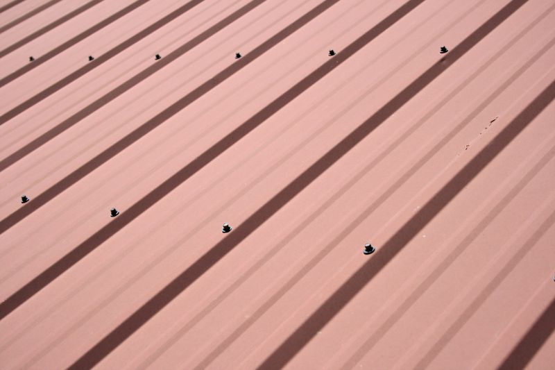 Roof Painting