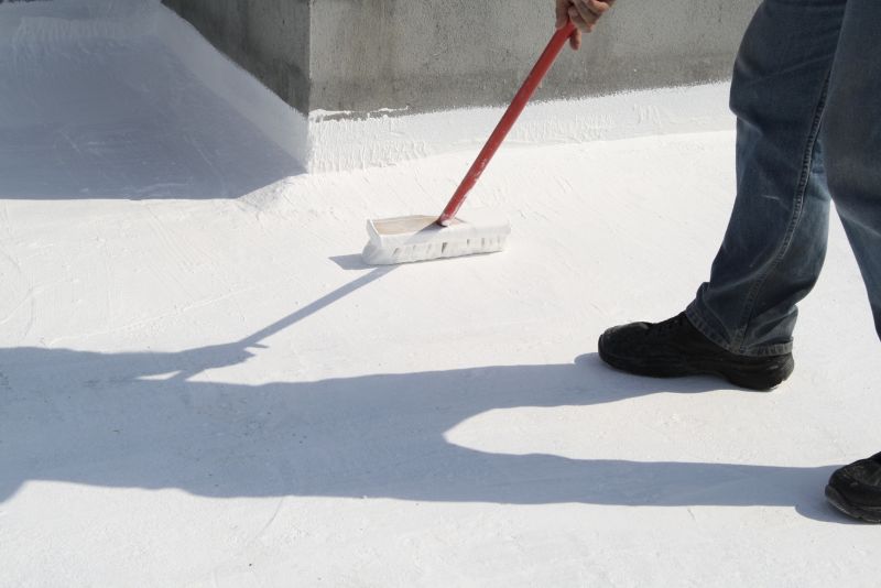 Roof Painting