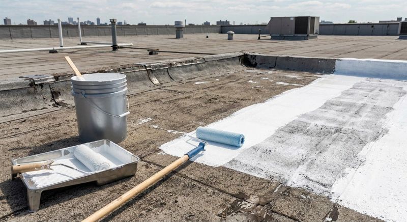 Roof Painting